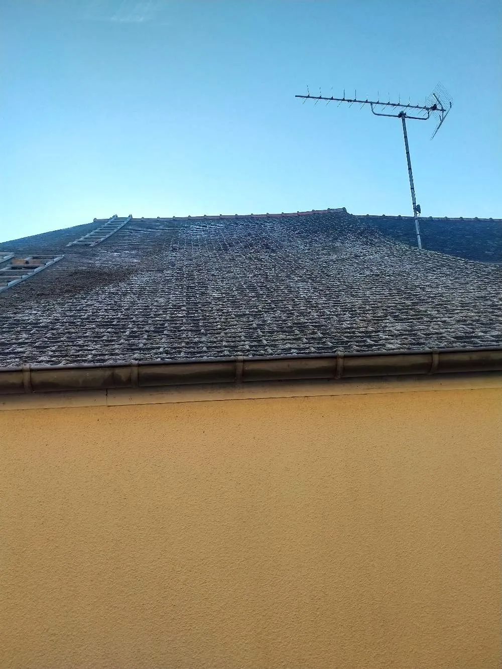 pose de velux le rheu